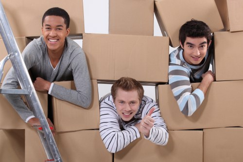 Recycling and sustainability practices used by Bromley Movers during a relocation